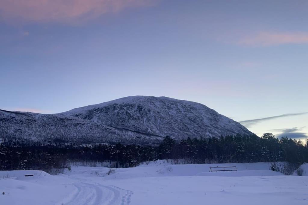 Koselig Leilighet , Med Parkering Og Ski In &Out. Apartment Oppdal Exterior foto